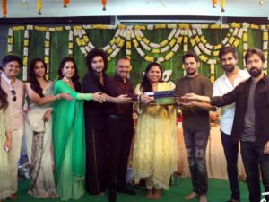 Telusu kada Movie