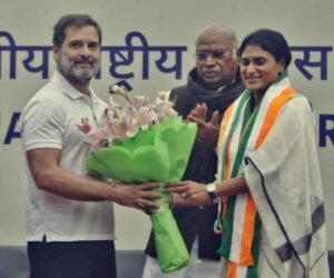 Y S Sharmila's entry in Andhra Pradesh politics