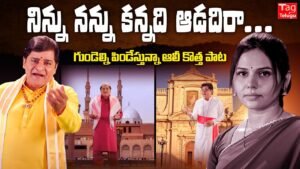 Ninnu Nannu Kannadhi Adadhi Raa Social Awareness Song