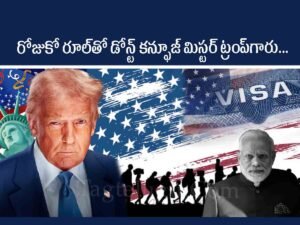 Indian Immigrants in US
