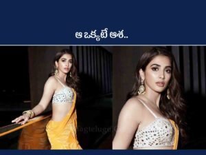 Pooja Hegde